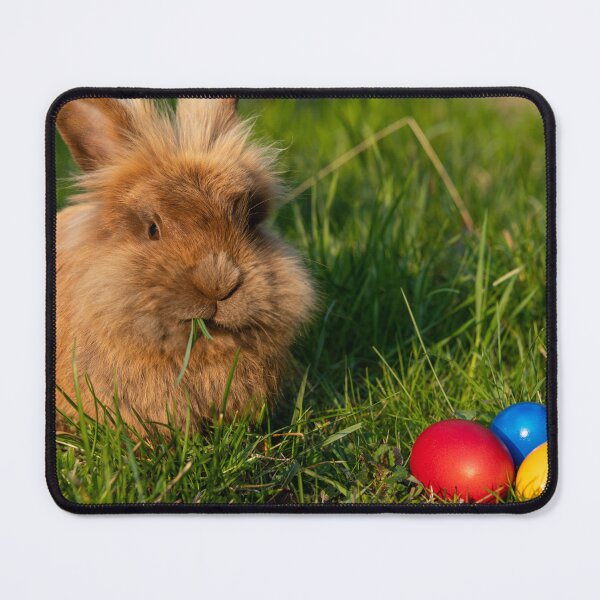 Item preview, Brown dwarf rabbit and three easter eggs designed and sold by Stefan Rotter.