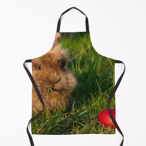 Item preview, Brown dwarf rabbit and three easter eggs designed and sold by Stefan Rotter.