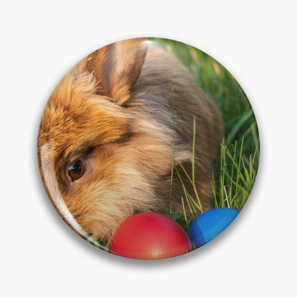 Item preview, Brown dwarf rabbit and three easter eggs designed and sold by Stefan Rotter.