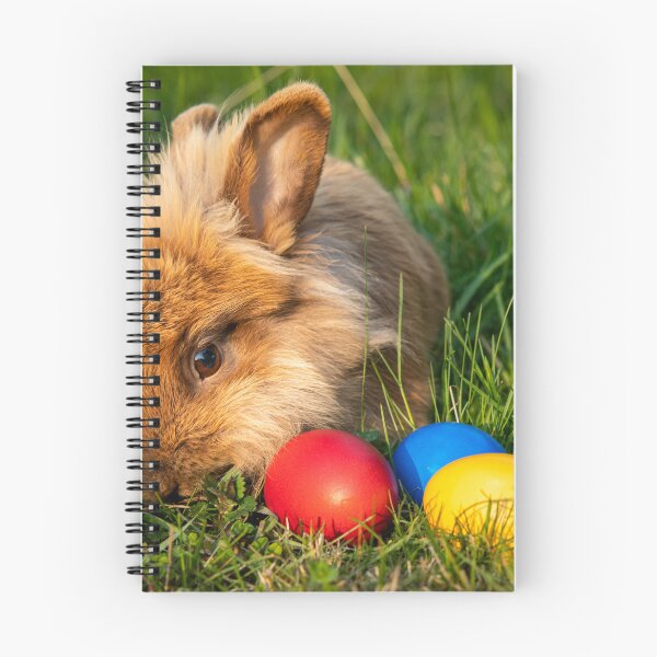 Item preview, Brown dwarf rabbit and three easter eggs designed and sold by Stefan Rotter.
