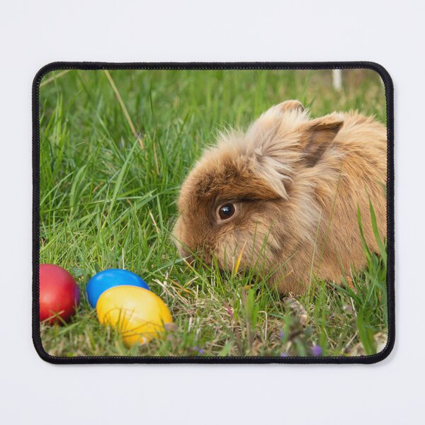 Item preview, Brown dwarf rabbit and three easter eggs designed and sold by Stefan Rotter.