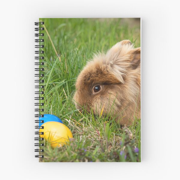 Item preview, Brown dwarf rabbit and three easter eggs designed and sold by Stefan Rotter.