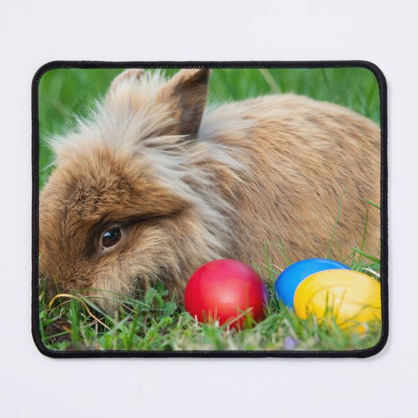 Item preview, Brown dwarf rabbit and three easter eggs designed and sold by Stefan Rotter.