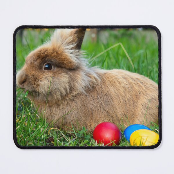 Item preview, Brown dwarf rabbit and three easter eggs designed and sold by Stefan Rotter.