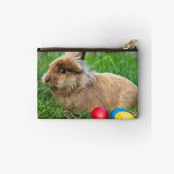 Item preview, Brown dwarf rabbit and three easter eggs designed and sold by Stefan Rotter.