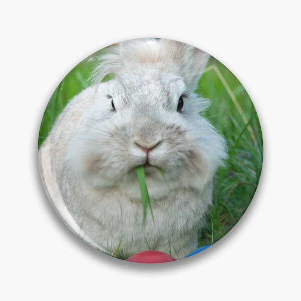 Item preview, White dwarf rabbit and three easter eggs designed and sold by Stefan Rotter.