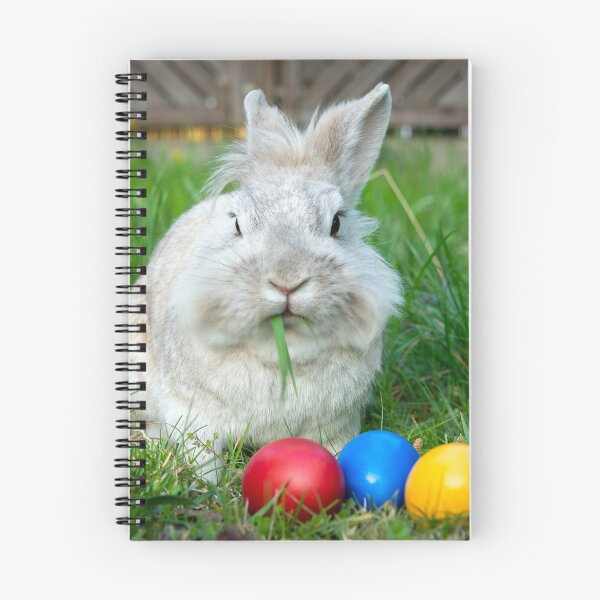 Item preview, White dwarf rabbit and three easter eggs designed and sold by Stefan Rotter.