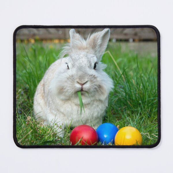 Item preview, White dwarf rabbit and three easter eggs designed and sold by Stefan Rotter.