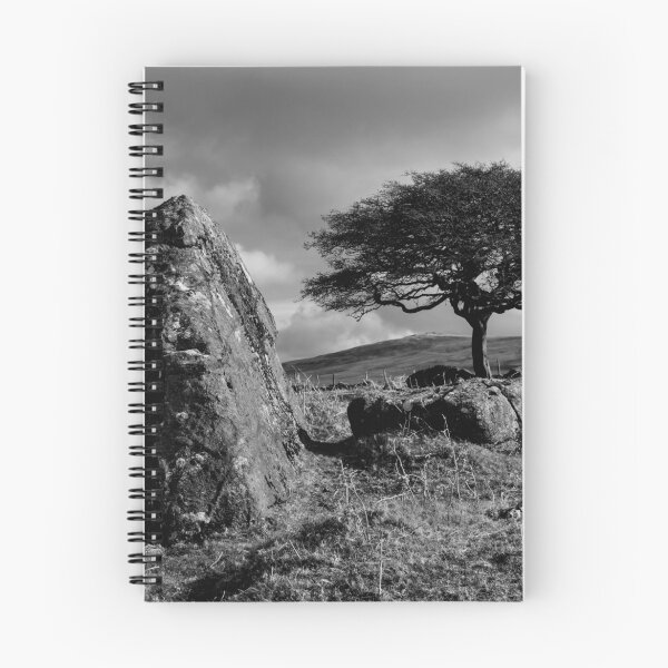 Item preview, Lone tree on Sourton Hill in Dartmoor designed and sold by Pete Hemington.