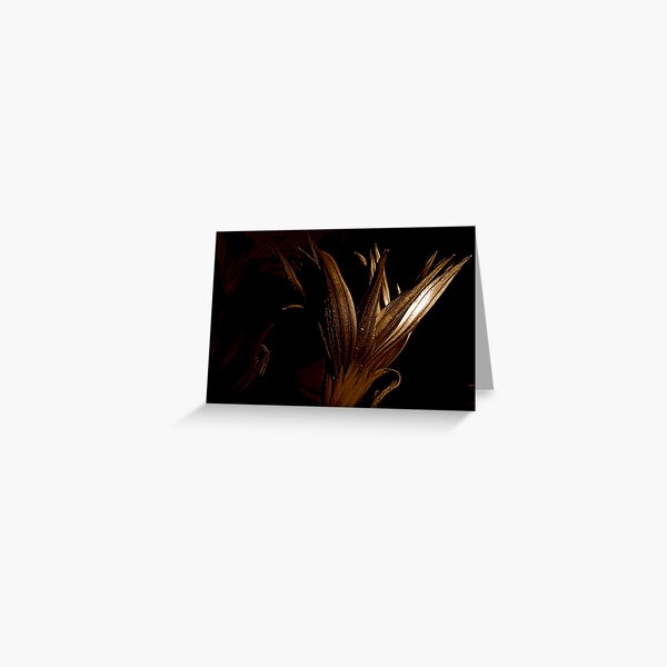 Bronzer Greeting Card