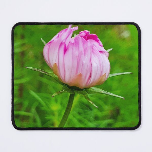 Item preview, Beautiful daisy bud designed and sold by Annaren2022.