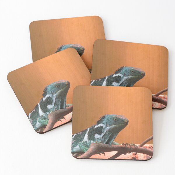 Item preview, Fijian crested iguana designed and sold by greentiger1.