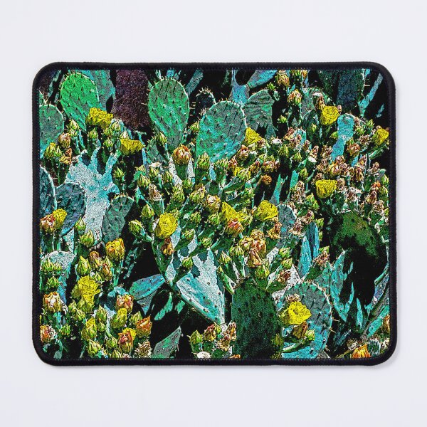 Item preview, CactaPolooza designed and sold by William E Lopez.