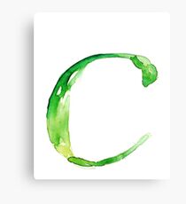 Alphabet C Canvas Print