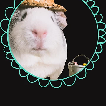Artwork thumbnail, Flower Guinea Pig Sticker by RikeMarroquin