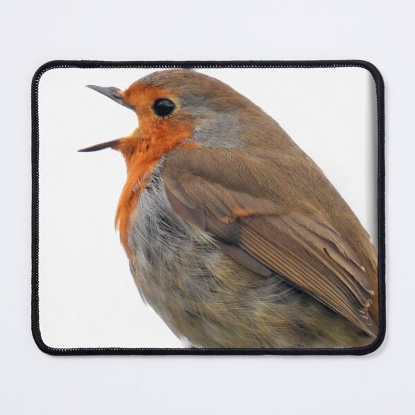 Item preview, Robin with mouth wide open designed and sold by matthewlumb.