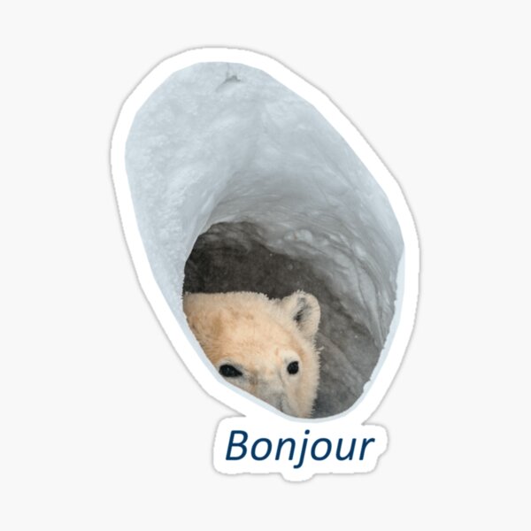"Bonjour polar bear meme Classic ." Sticker for Sale by doriskellyr ...