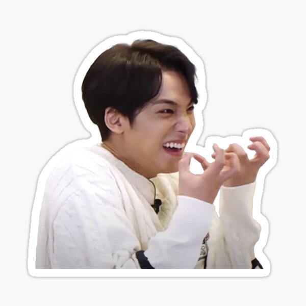 "Seventeen Funny Mingyu Meme" Sticker By Kpopnow | Redbubble