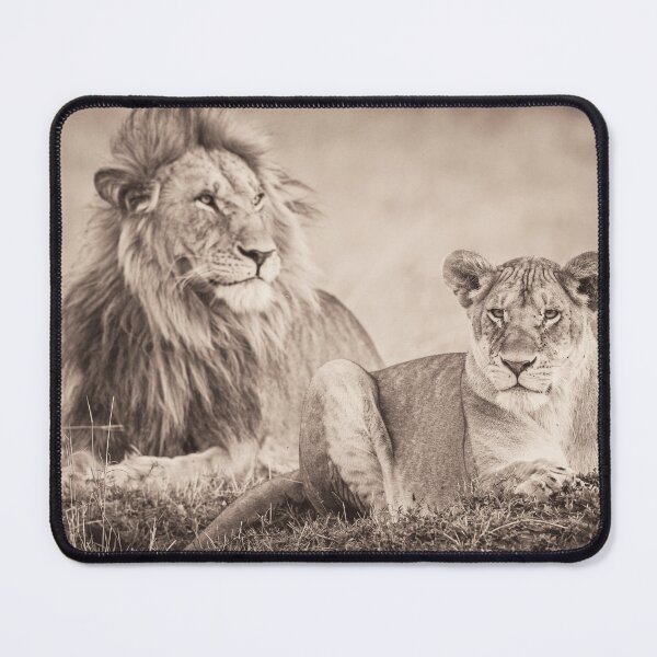 Item preview, Honeymoon Couple - Lion and Lioness designed and sold by ramazis.