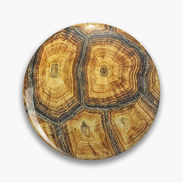 Item preview, Turtle Shell designed and sold by Gymmer-Life.