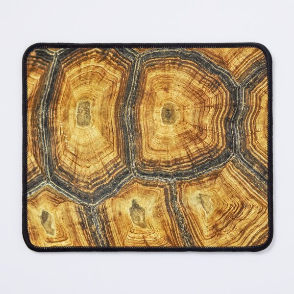 Item preview, Turtle Shell designed and sold by Gymmer-Life.