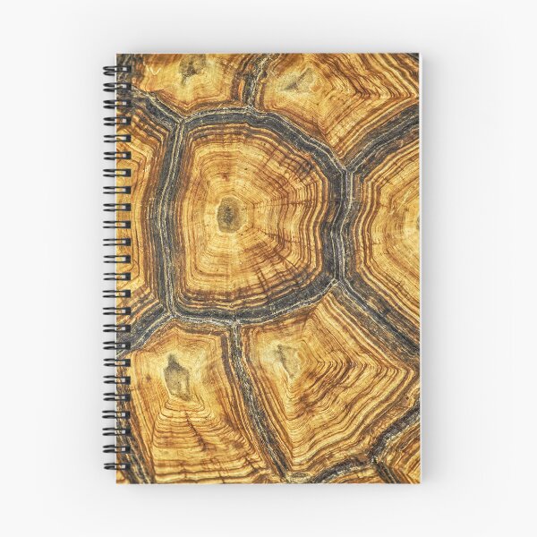 Item preview, Turtle Shell designed and sold by Gymmer-Life.
