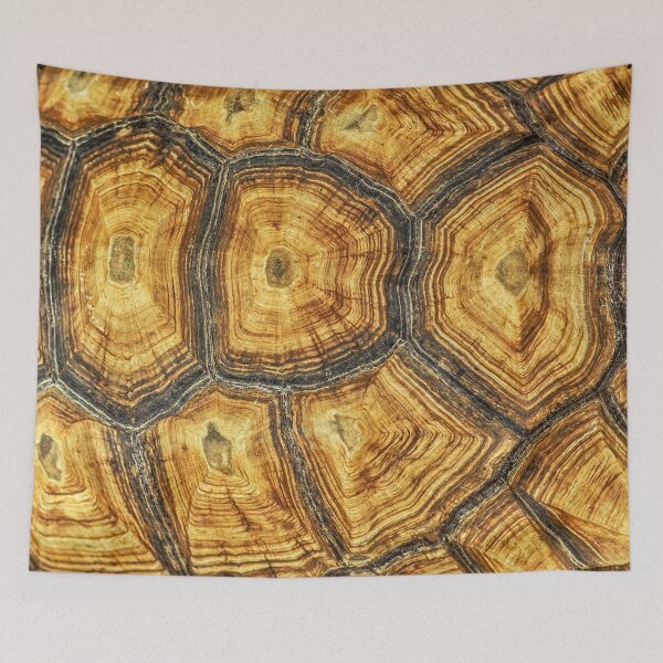 Item preview, Turtle Shell designed and sold by Gymmer-Life.