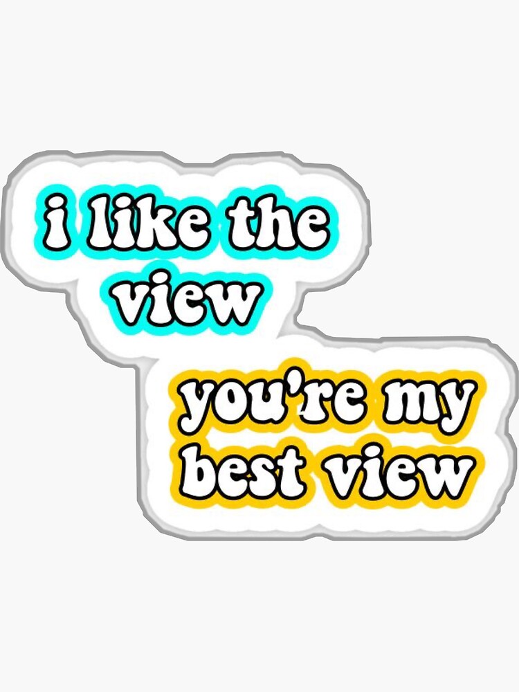 "tiktok I like the view meme" Sticker for Sale by stickerbylucyy Redbubble