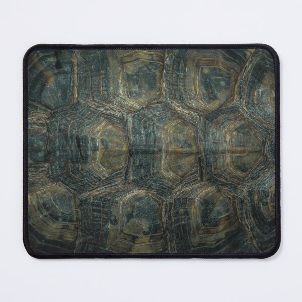 Item preview, Turtle Shell designed and sold by Gymmer-Life.