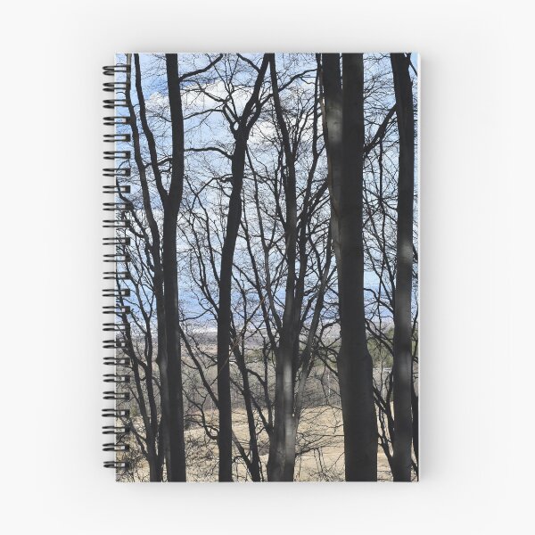 Item preview, Dark grey trees in the mountain designed and sold by mariya-ivanova.