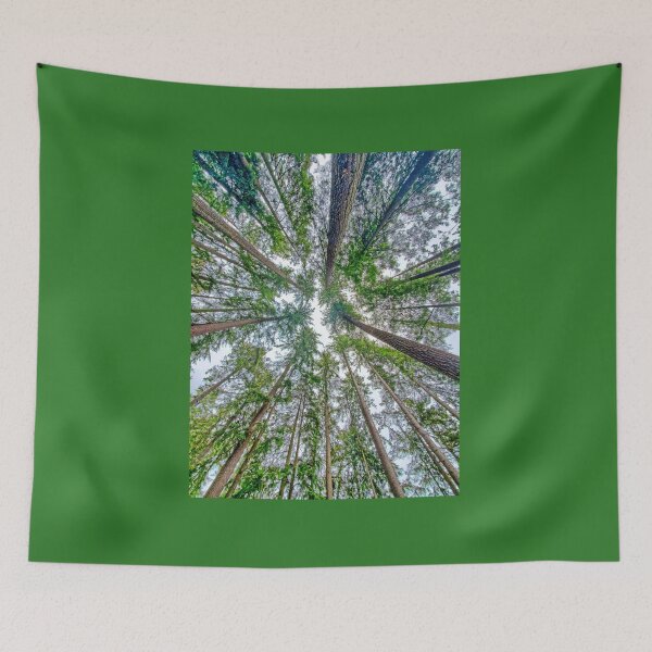 Item preview, Look Up, Look Way Up designed and sold by Brian Shaw.