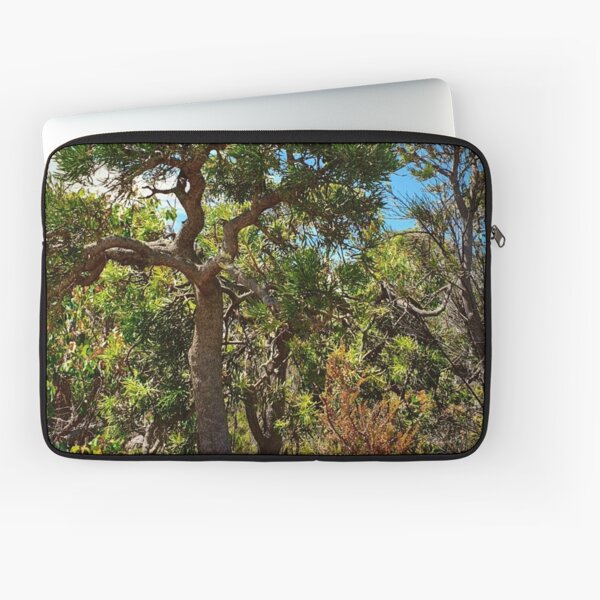 Item preview, Native Bush Designs - Australian Bush Collection Flora designs designed and sold by dsrdirect.