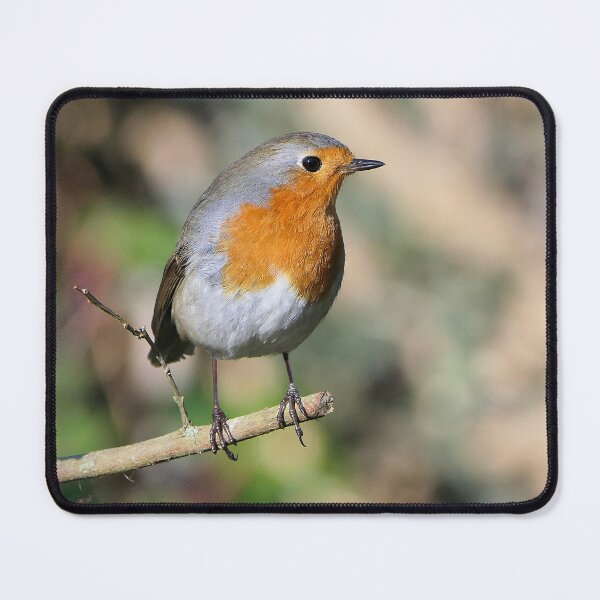 Item preview, r677/ Un Amour de Rouge-Gorge " Les Oiseaux du jardin " simply life " to Okaio Créations - Olavia-Olao designed and sold by o.okaïo.