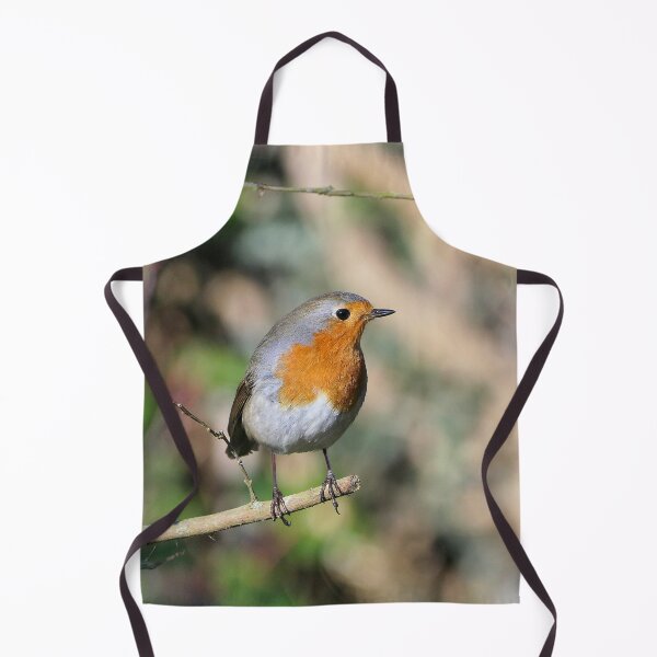 Item preview, r677/ Un Amour de Rouge-Gorge " Les Oiseaux du jardin " simply life " to Okaio Créations - Olavia-Olao designed and sold by o.okaïo.