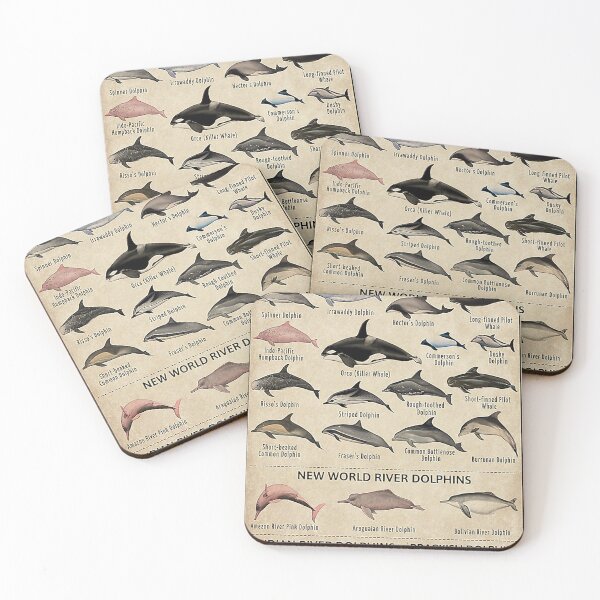 Item preview, Types Of Dolphins  designed and sold by KravecUziel.