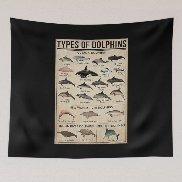 Item preview, Types Of Dolphins  designed and sold by KravecUziel.