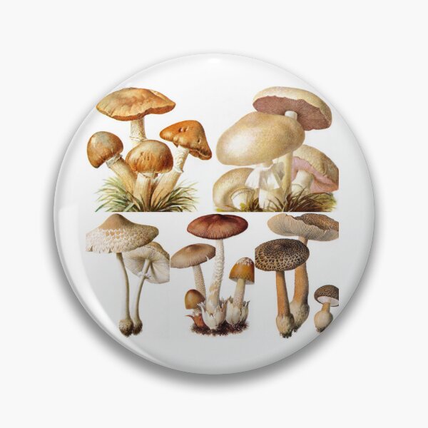 Item preview, Oldish Vintage Mushroom Montage Set #4 designed and sold by Krispsm.