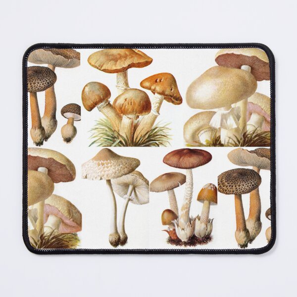 Item preview, Oldish Vintage Mushroom Montage Set #4 designed and sold by Krispsm.