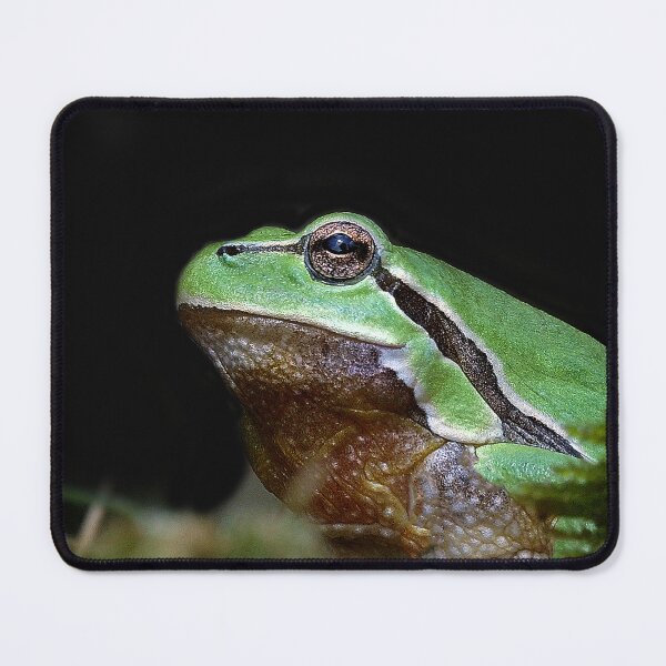 Item preview, r676/ A Kind Frog Palmé -Grenouille verte palmé " simply life " to Okaio Créations - Olavia-Olao designed and sold by o.okaïo.