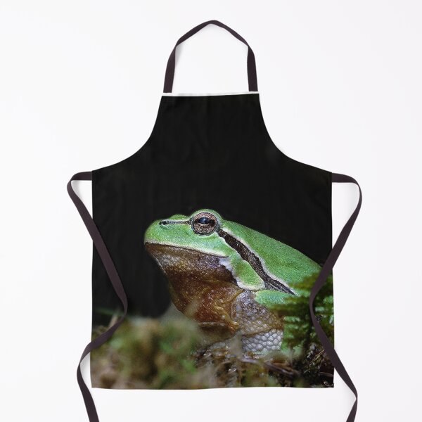 Item preview, r676/ A Kind Frog Palmé -Grenouille verte palmé " simply life " to Okaio Créations - Olavia-Olao designed and sold by o.okaïo.