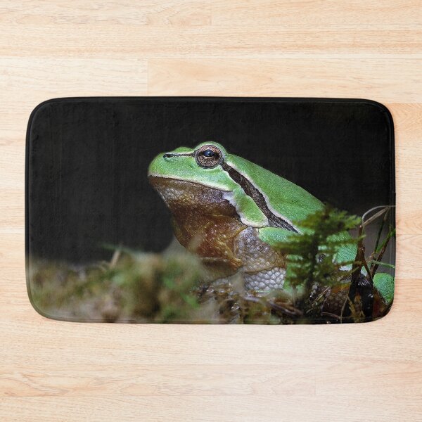 Item preview, r676/ A Kind Frog Palmé -Grenouille verte palmé  " simply life " to Okaio Créations - Olavia-Olao  designed and sold by o.okaïo.