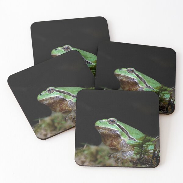 Item preview, r676/ A Kind Frog Palmé -Grenouille verte palmé  " simply life " to Okaio Créations - Olavia-Olao  designed and sold by o.okaïo.