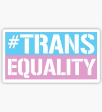 Trans Equality Sticker