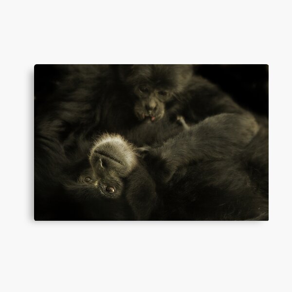 Life Canvas Print