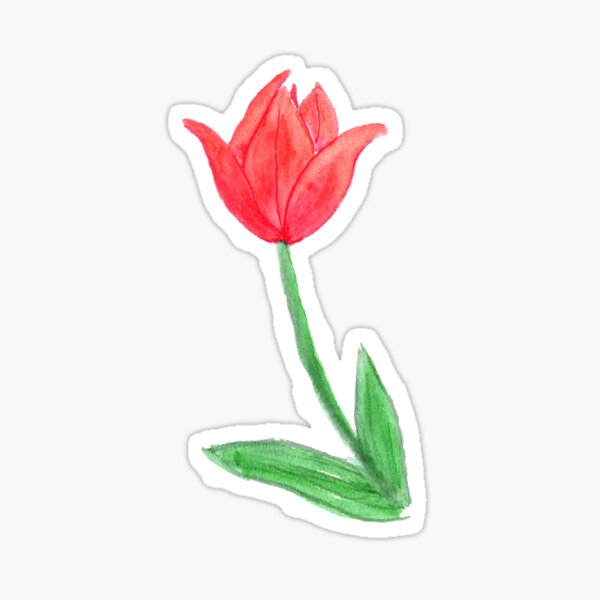 bright red tulip watercolor Sticker