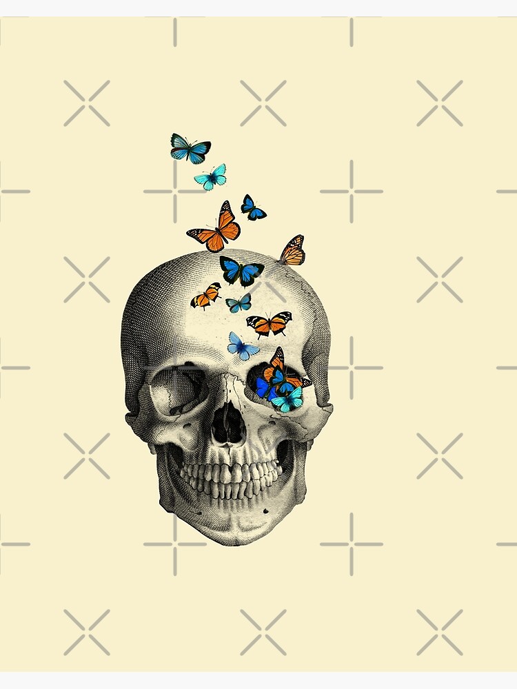 Skull with butterflies (cream) Art Board Print for Sale by MadameMemento