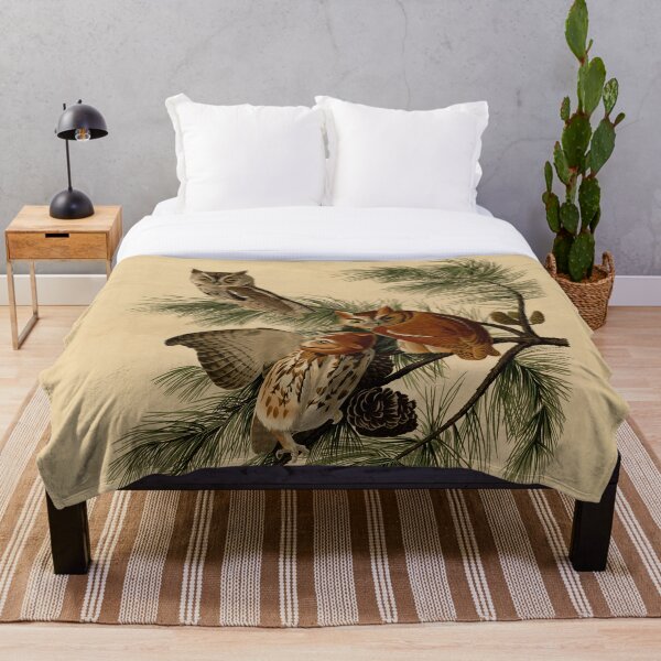 Item preview, Plate 97 Little Screech Owl - John James Audubon (Birds of America 1827-1838) designed and sold by Geraldo Garcia.