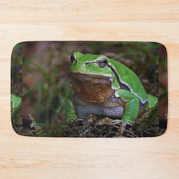 Item preview, r675/  A Kind Frog Palmé -Grenouille verte palmé  " simply life " to Okaio Créations - Olavia-Olao  designed and sold by o.okaïo.