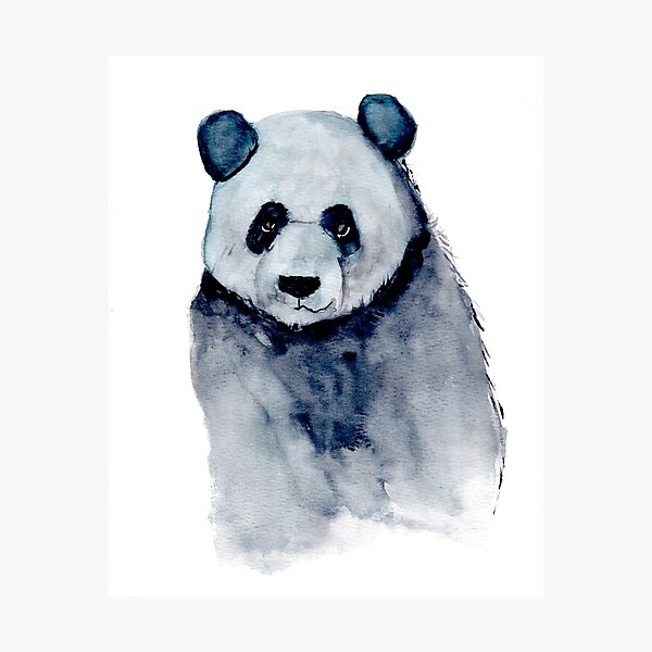 Panda Photographic Print