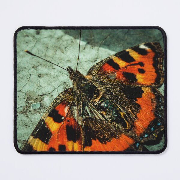 Item preview, Butterfly Birthday designed and sold by ivanoel.